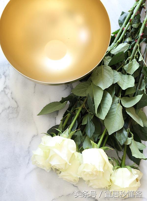 简单又好玩的宜家绿植花器改造，你也可以做