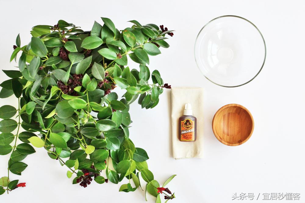 简单又好玩的宜家绿植花器改造，你也可以做