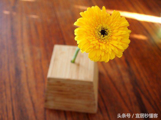 简单又好玩的宜家绿植花器改造，你也可以做