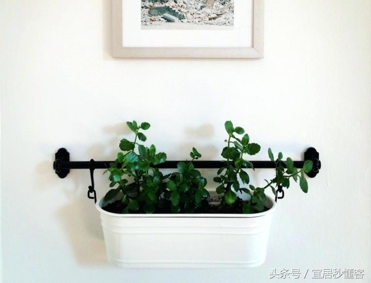 简单又好玩的宜家绿植花器改造，你也可以做