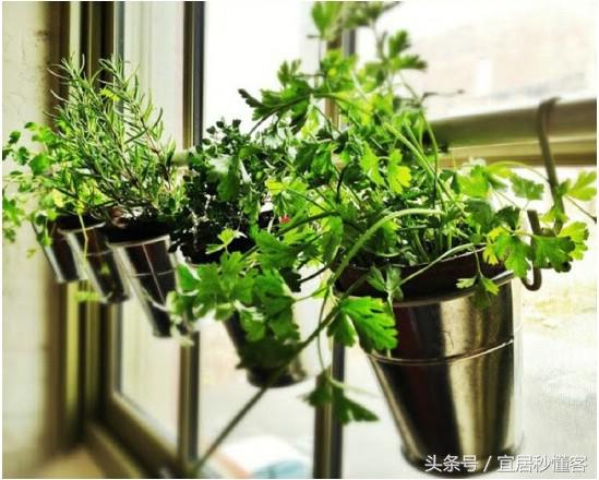 简单又好玩的宜家绿植花器改造，你也可以做