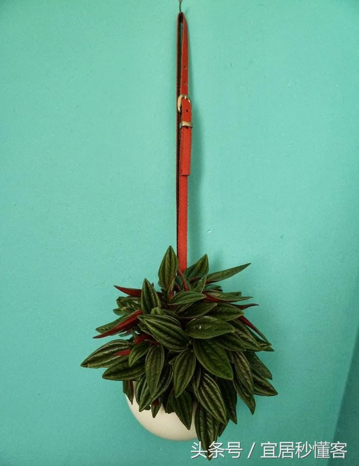 简单又好玩的宜家绿植花器改造，你也可以做