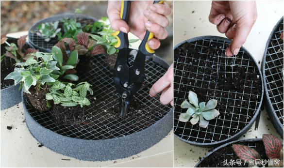 简单又好玩的宜家绿植花器改造，你也可以做