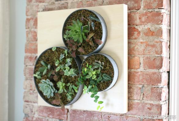 简单又好玩的宜家绿植花器改造，你也可以做