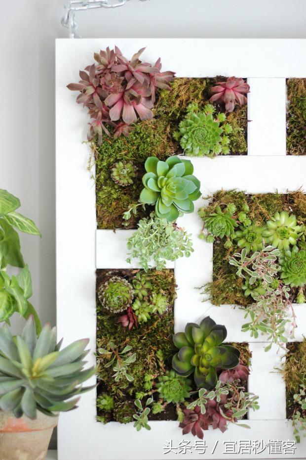 简单又好玩的宜家绿植花器改造，你也可以做