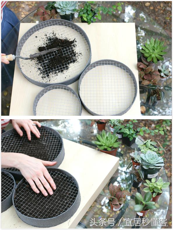 简单又好玩的宜家绿植花器改造，你也可以做