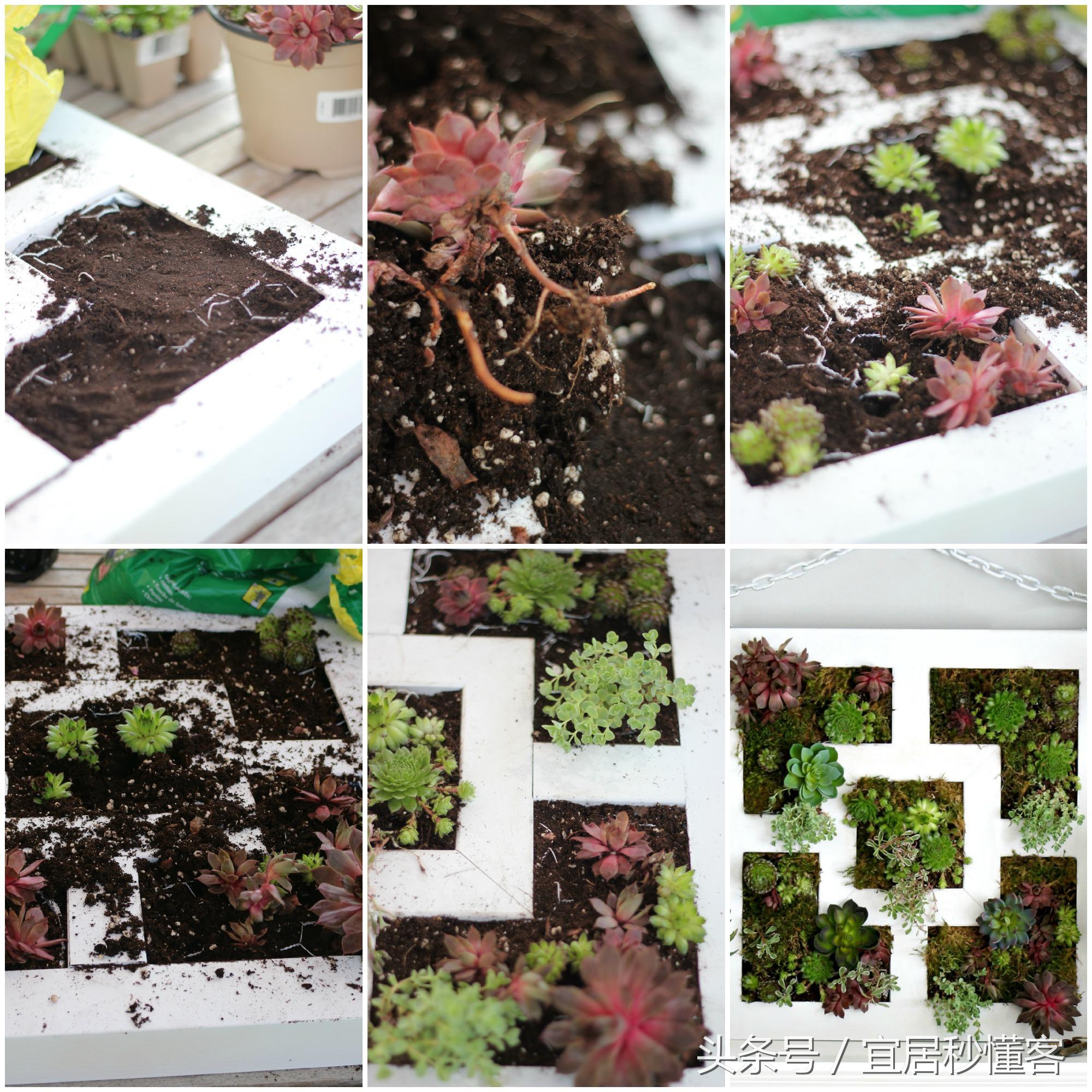 简单又好玩的宜家绿植花器改造，你也可以做