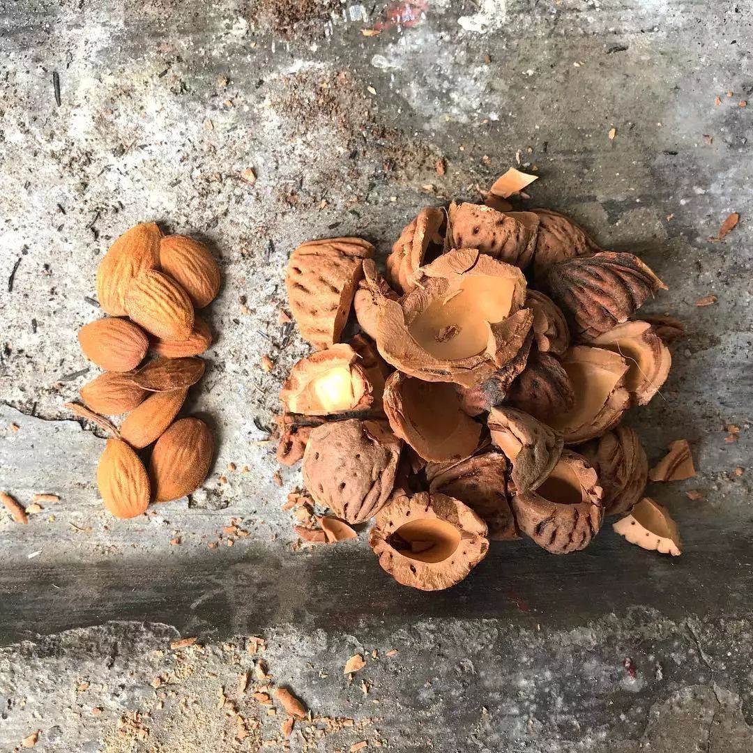 尖货|一款“液体黄金”,意大利甜蜜时代影星都在用!