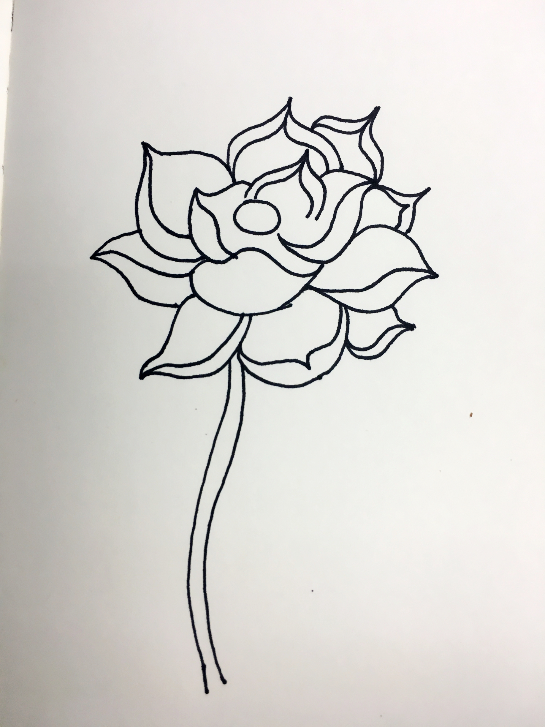 简单画荷花的步骤图解,画荷花好看又简单的教程