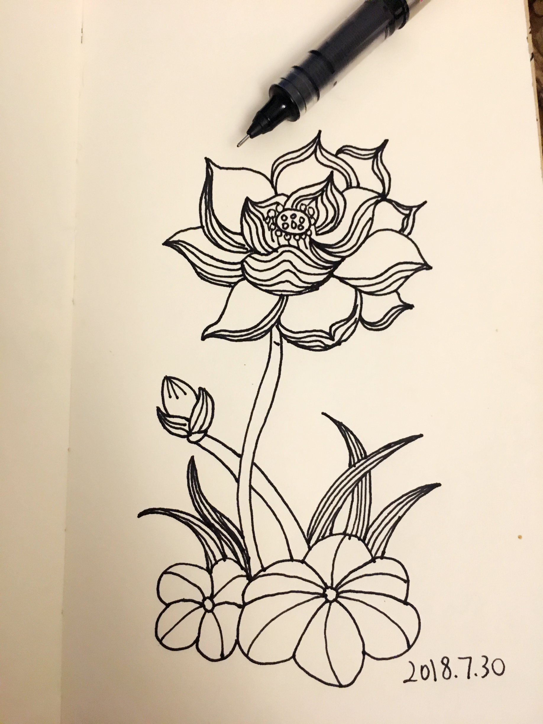 简单画荷花的步骤图解,画荷花好看又简单的教程