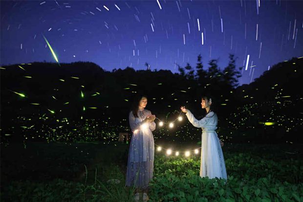 最美丽的霓虹灯光,最美丽的灯光夜晚不带字幕