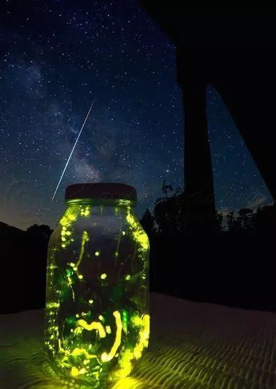 最美丽的霓虹灯光,最美丽的灯光夜晚不带字幕