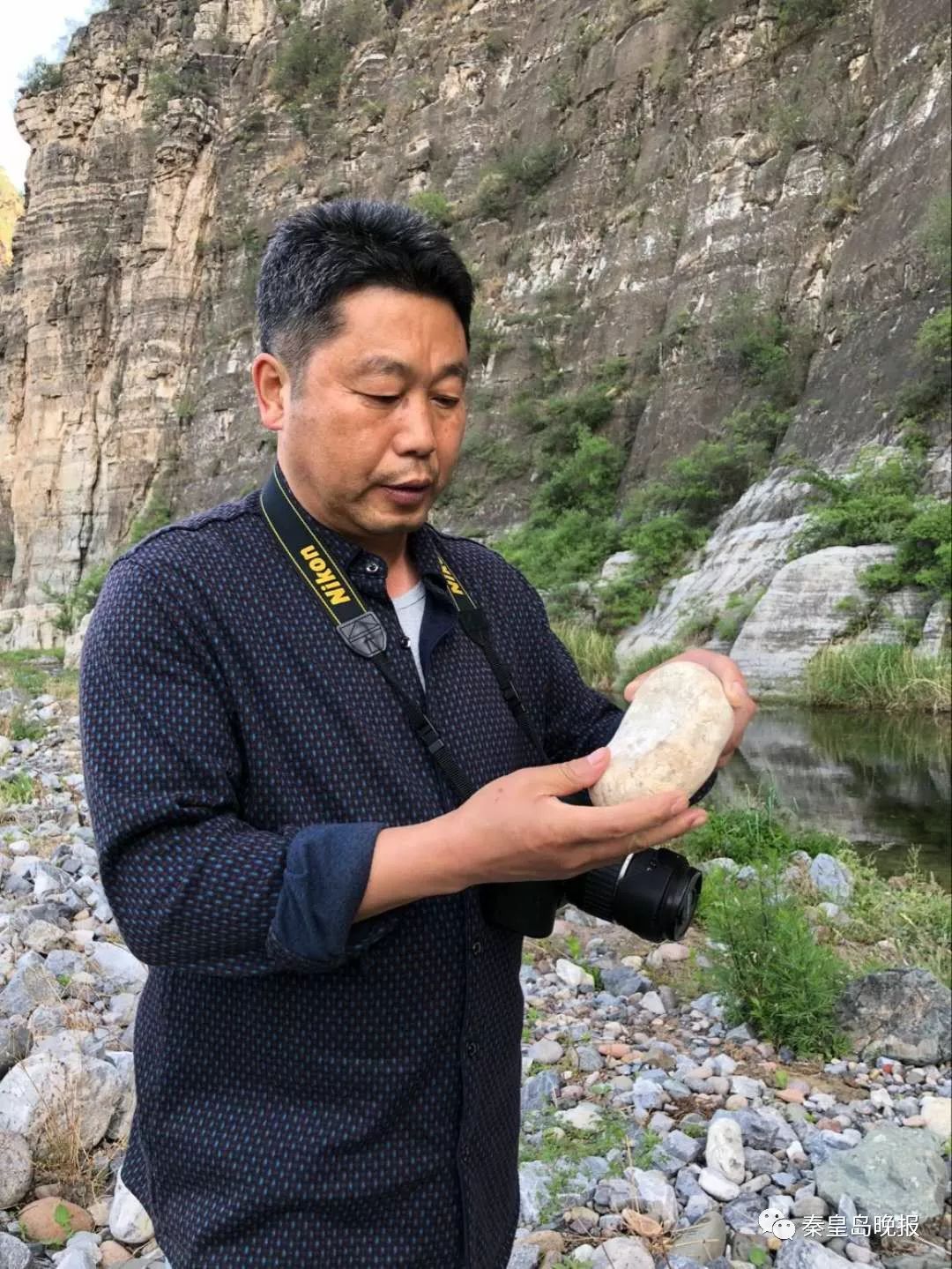 与海为邻和山作伴,与海为邻带笔锋吗