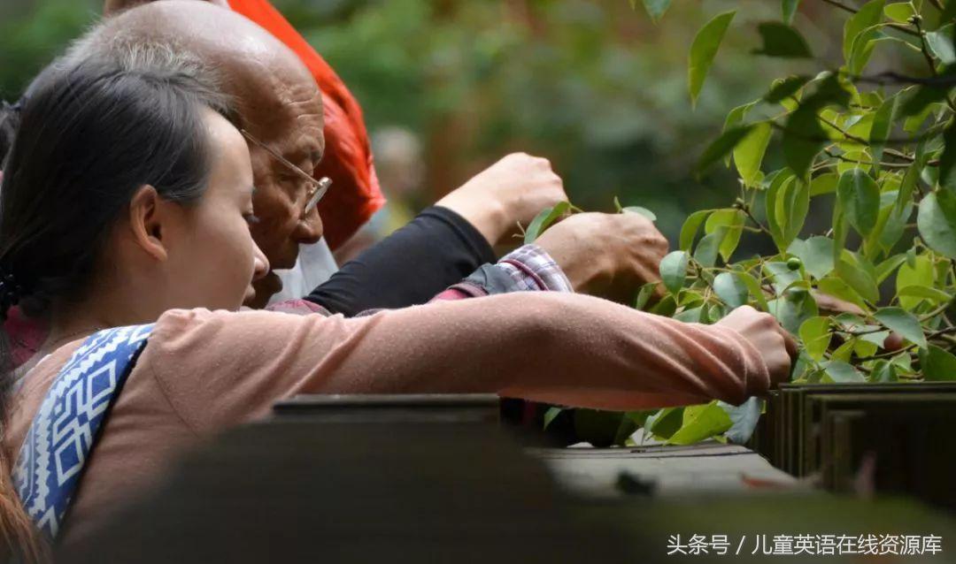 为什么越来越讨厌亲戚,年轻人越来越讨厌亲戚