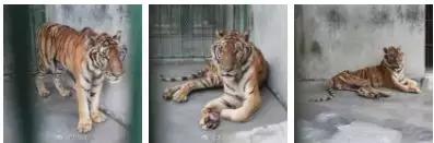 身价上亿老总吃盒饭,身价过亿小伙吃路边摊下集