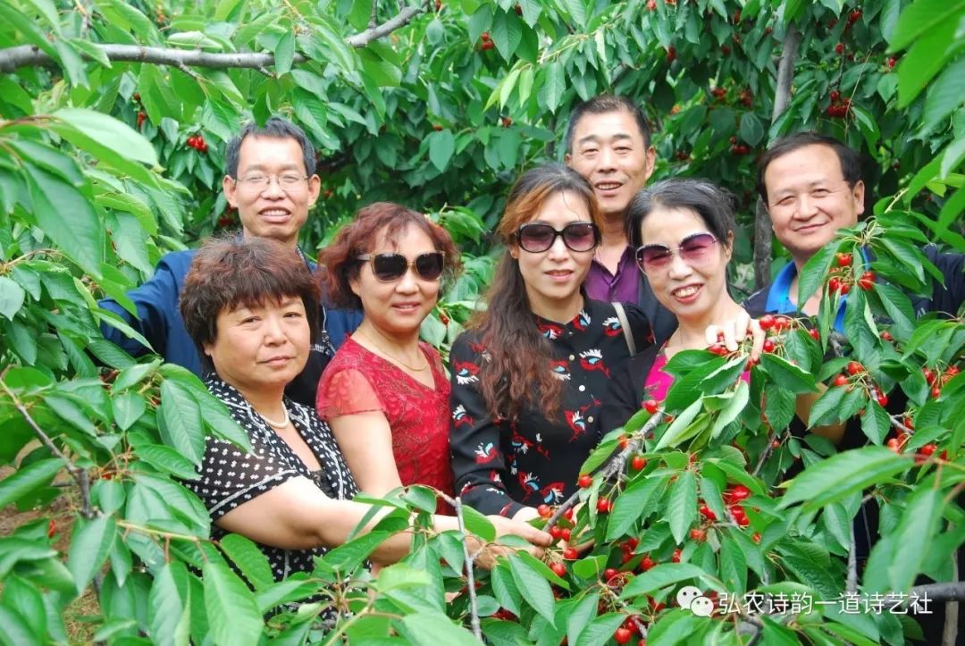 弘农诗,弘农古诗词