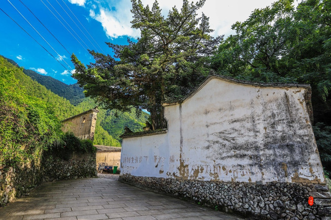 浙江省遂昌县有哪些地方,遂昌避暑好玩的地方有哪些