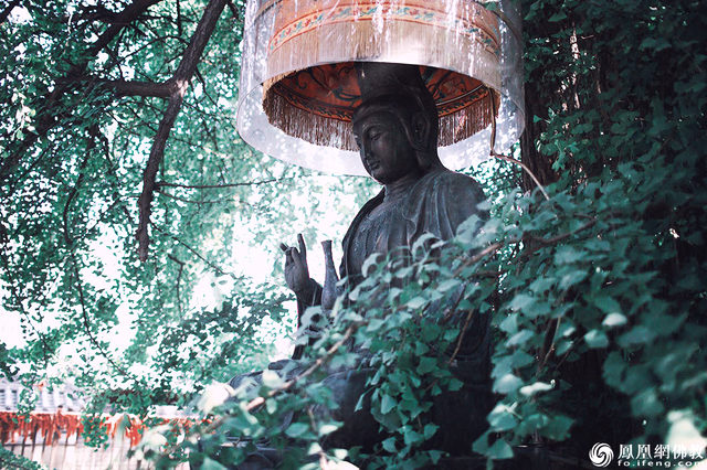 恭迎观世音菩萨诞辰视频,恭迎观音菩萨出家殊胜日