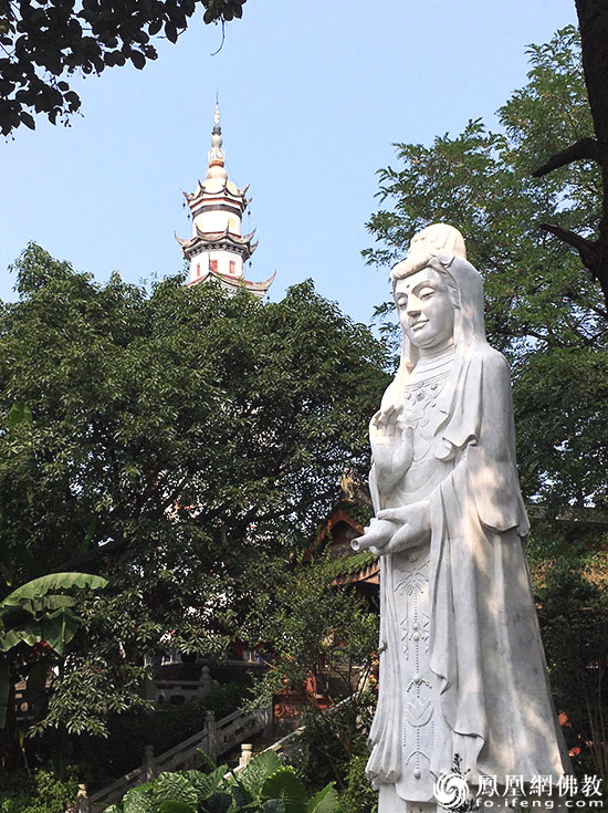 恭迎观世音菩萨诞辰视频,恭迎观音菩萨出家殊胜日