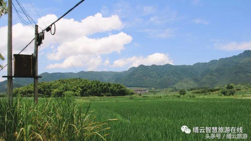 「美文游记征集大赛」No.133光阴缓缓,日子懒懒——在缙云的夏日时光