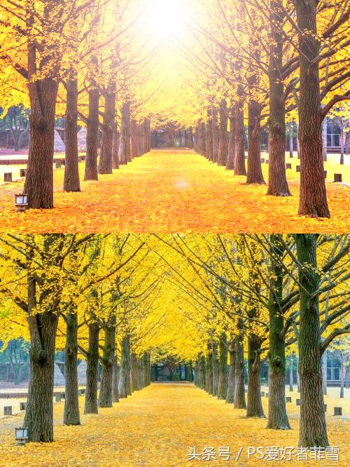 ps169横屏图片怎么做,ps169怎么设置分辨率