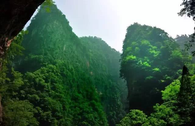 瀑布凉爽一夏,瀑布美景清凉避暑好去处