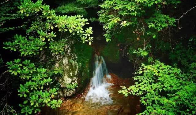 瀑布凉爽一夏,瀑布美景清凉避暑好去处