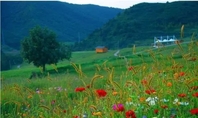 瀑布凉爽一夏,瀑布美景清凉避暑好去处