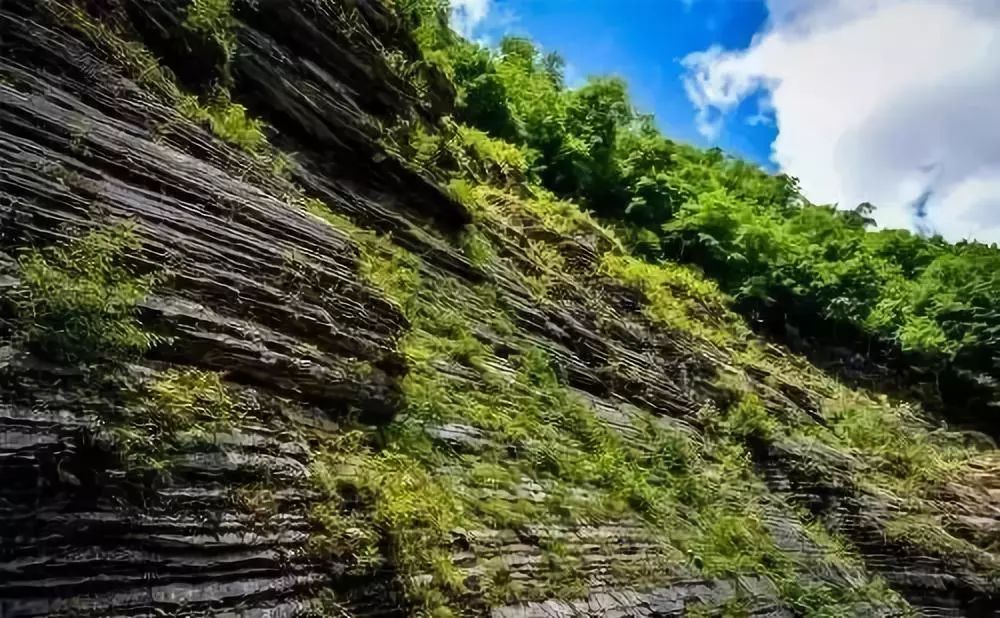 瀑布凉爽一夏,瀑布美景清凉避暑好去处