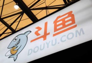 斗鱼直播tv版叫什么,斗鱼tv直播平台