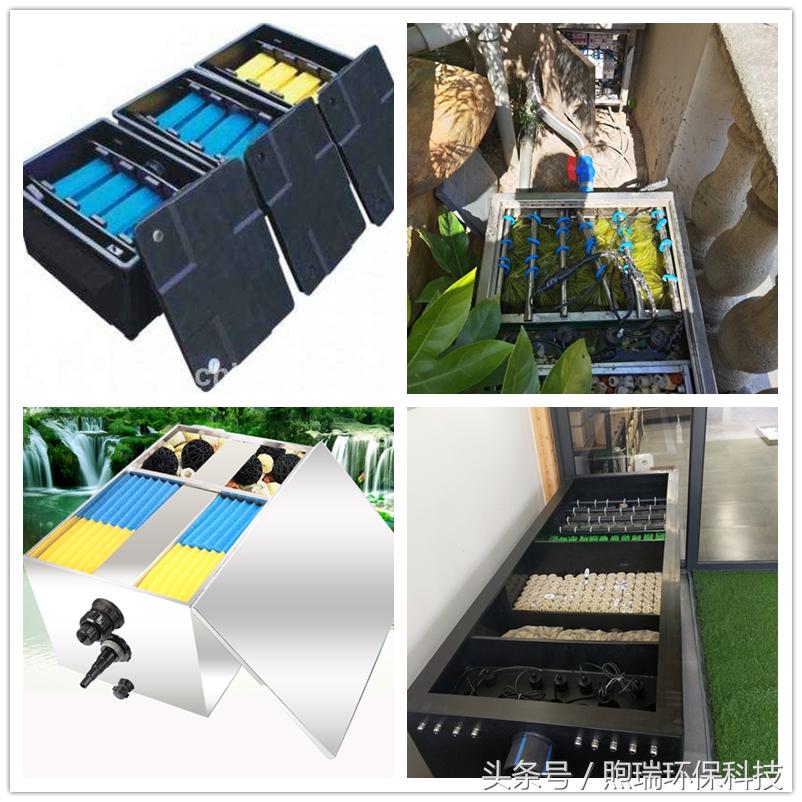 锦鲤鱼池过滤系统教程全过程,锦鲤鱼池过滤系统推荐