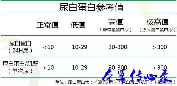 轻松看懂尿液检查化验单
