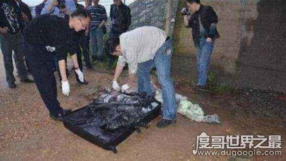 中国十大碎尸案纪录片,大案纪实碎尸案解说