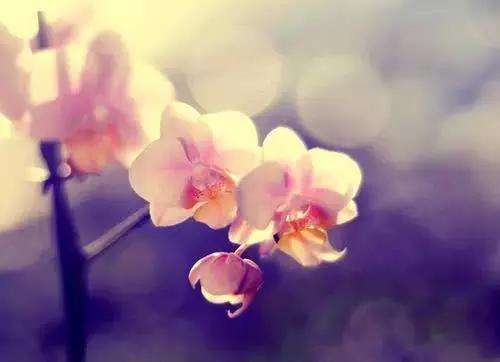 有深度的个性签名句子短句,简短精辟的个性签名语录