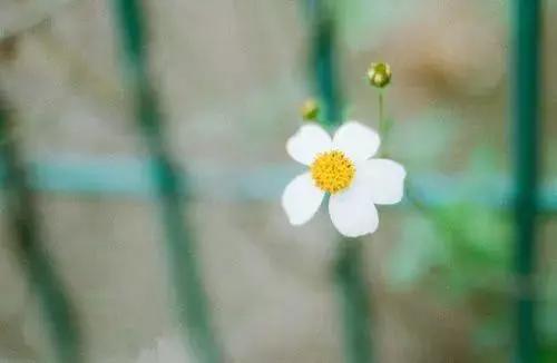 有深度的个性签名句子短句,简短精辟的个性签名语录