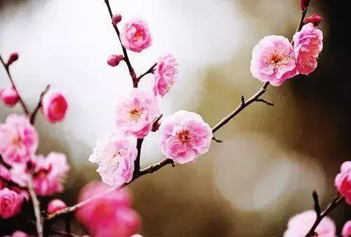 有深度的个性签名句子短句,简短精辟的个性签名语录