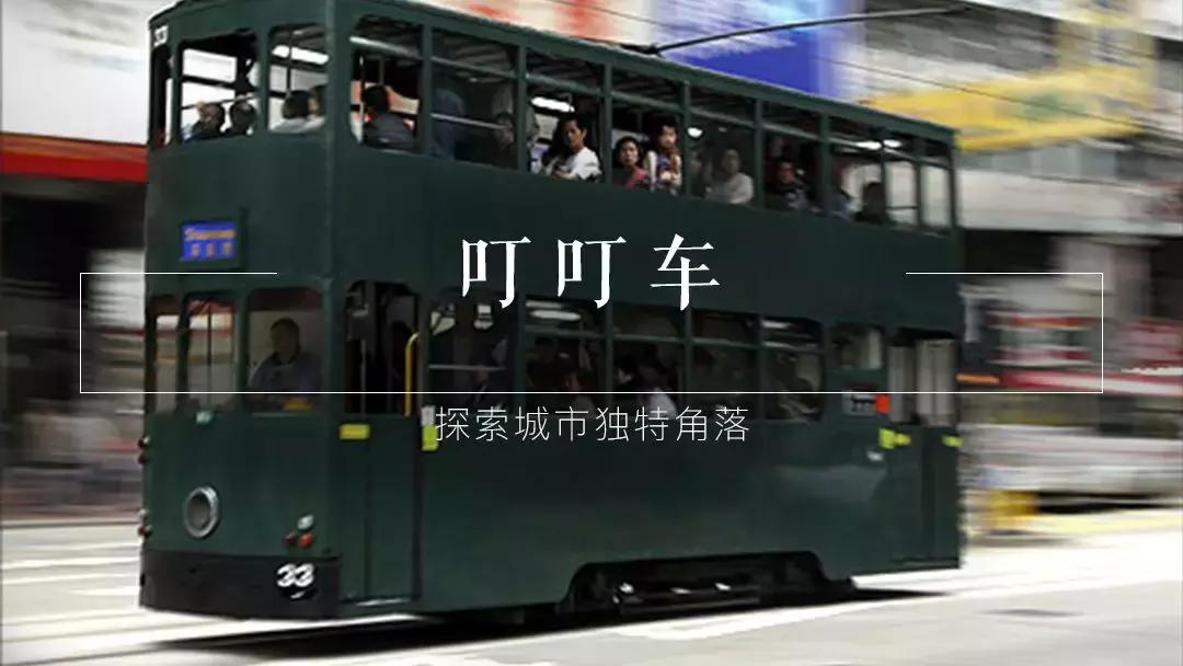 香港—连鸽子都已经习惯了“叮叮车”的节奏