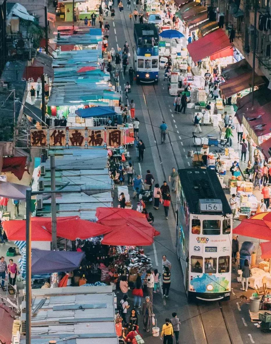 香港—连鸽子都已经习惯了“叮叮车”的节奏