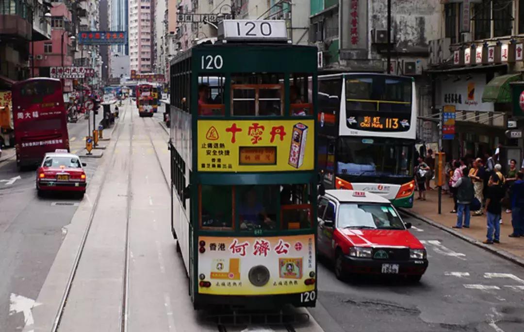 香港—连鸽子都已经习惯了“叮叮车”的节奏