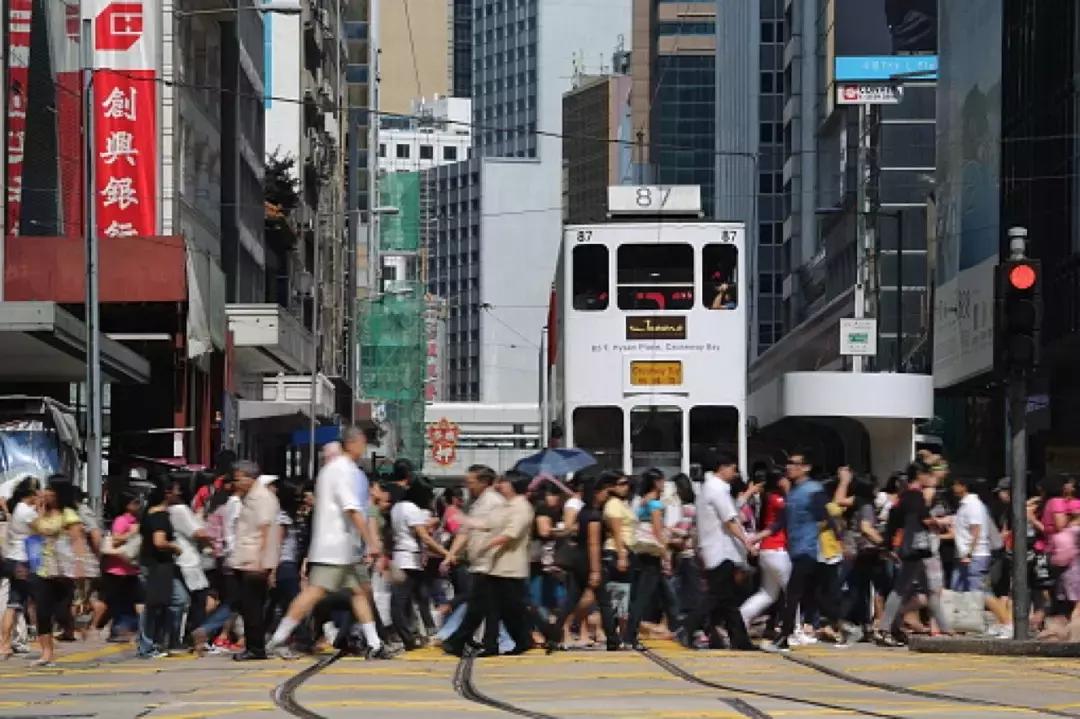 香港—连鸽子都已经习惯了“叮叮车”的节奏