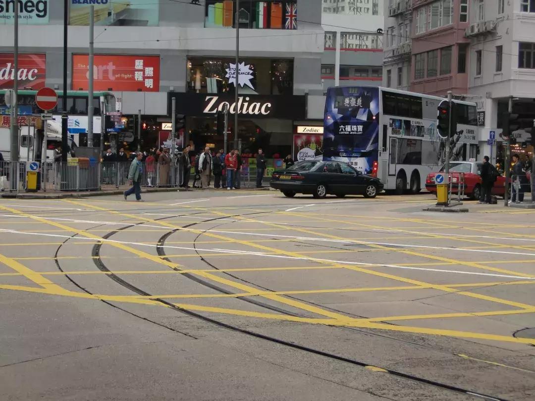 香港—连鸽子都已经习惯了“叮叮车”的节奏