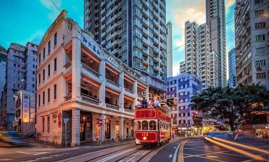 香港—连鸽子都已经习惯了“叮叮车”的节奏