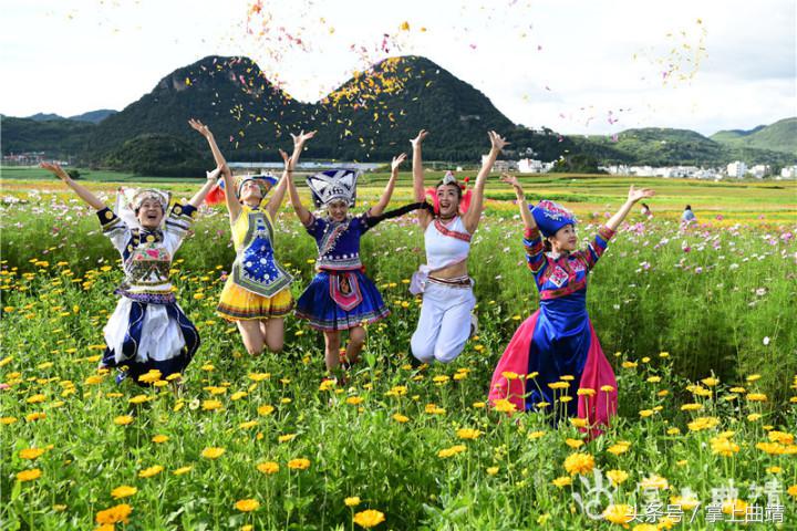 罗平七色花海,广东罗平七彩花田