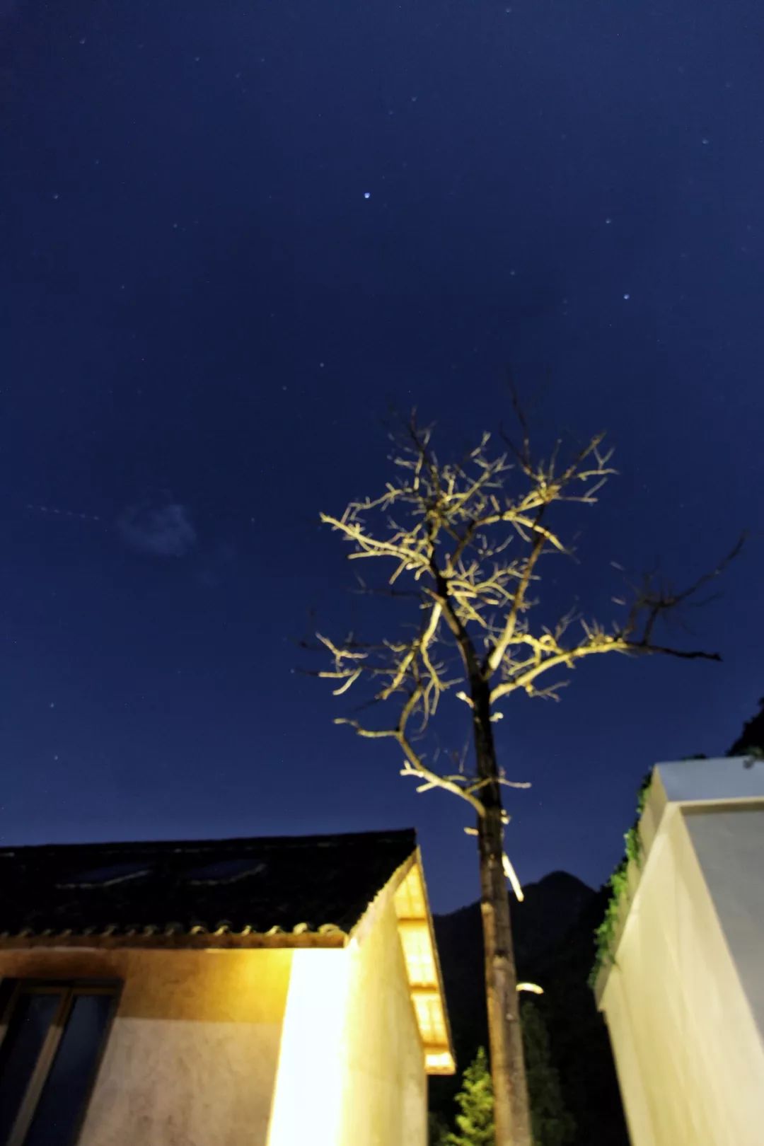 桐庐天子地避暑胜地 (避暑胜地亲子游桐庐)