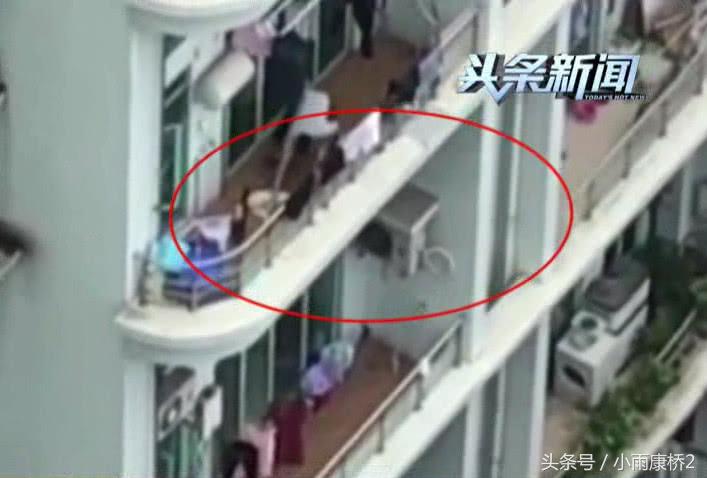 男子暴打邻居宠物狗,男子疯狂殴打流浪狗