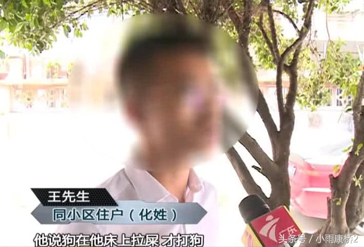 男子暴打邻居宠物狗,男子疯狂殴打流浪狗