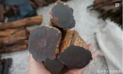 斜叶檀滥竽充数小叶降真香