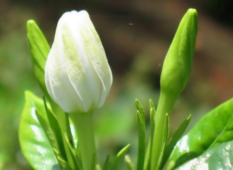 我可以穷但不可以怂,做人可以穷但是不能骗人