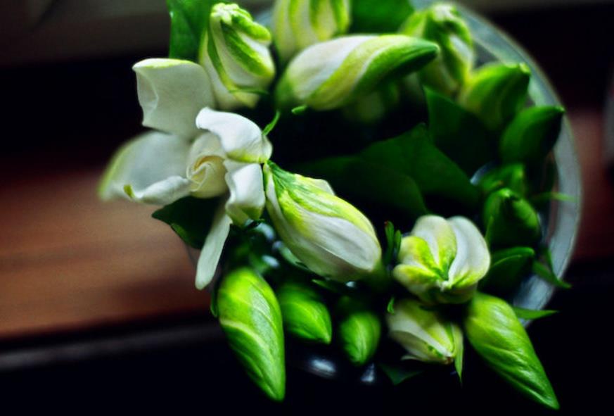 我可以穷但不可以怂,做人可以穷但是不能骗人