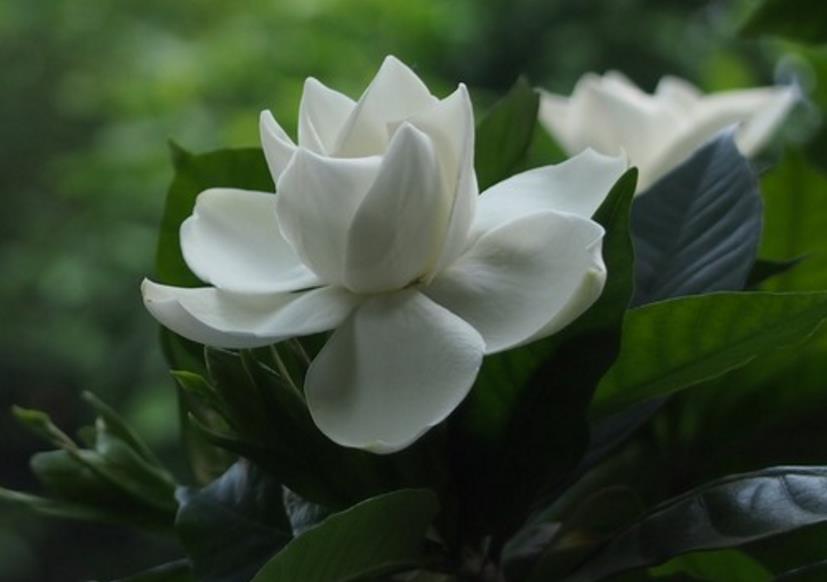 我可以穷但不可以怂,做人可以穷但是不能骗人